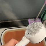 ✅ Ashley & Oliver, Domestic Shorthair