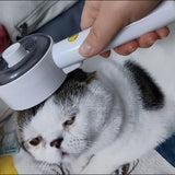 ✅ Chloe & Daisy, Persian Cat